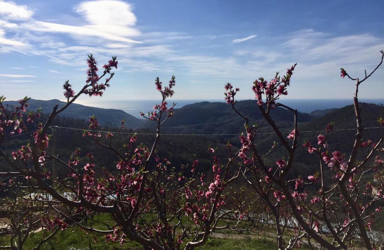 Agriturismo Lavalleggia Tovo San Giacomo Buitenkant foto