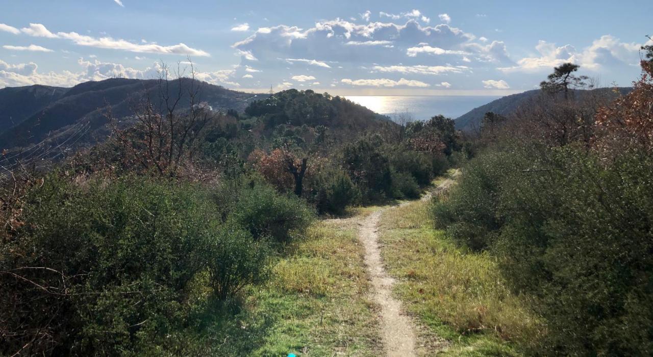 Agriturismo Lavalleggia Tovo San Giacomo Buitenkant foto