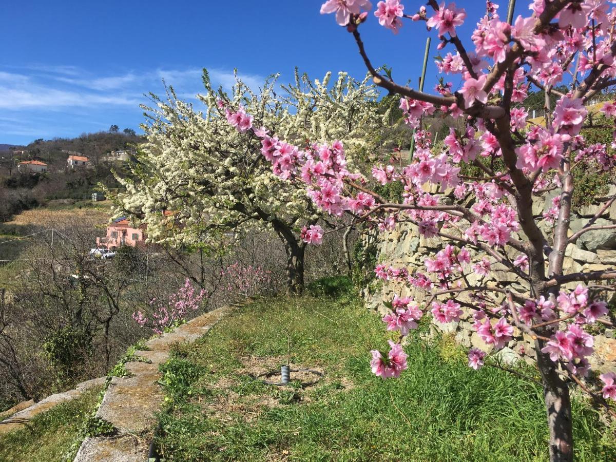 Agriturismo Lavalleggia Tovo San Giacomo Buitenkant foto