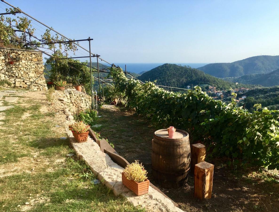 Agriturismo Lavalleggia Tovo San Giacomo Buitenkant foto