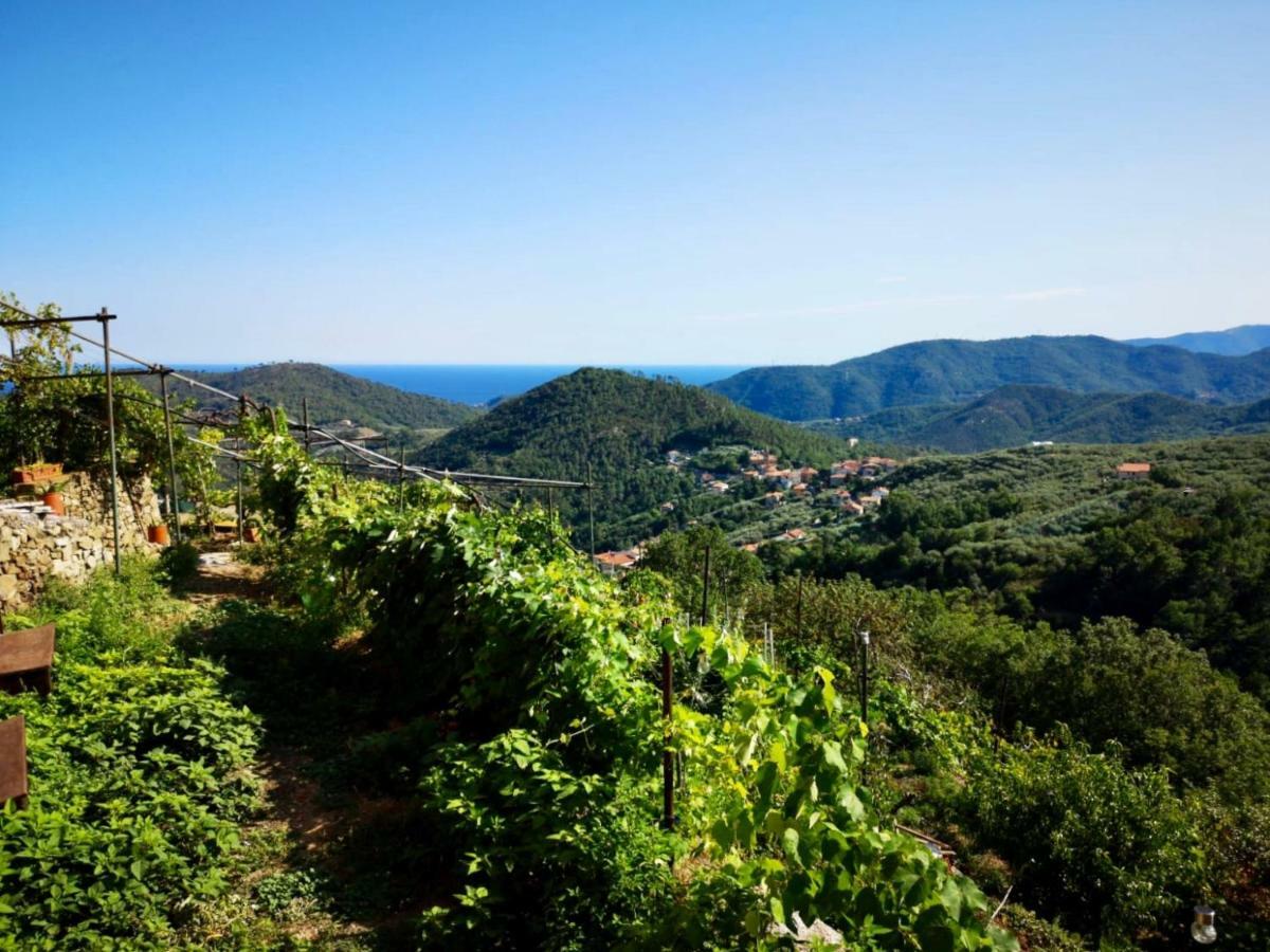 Agriturismo Lavalleggia Tovo San Giacomo Buitenkant foto