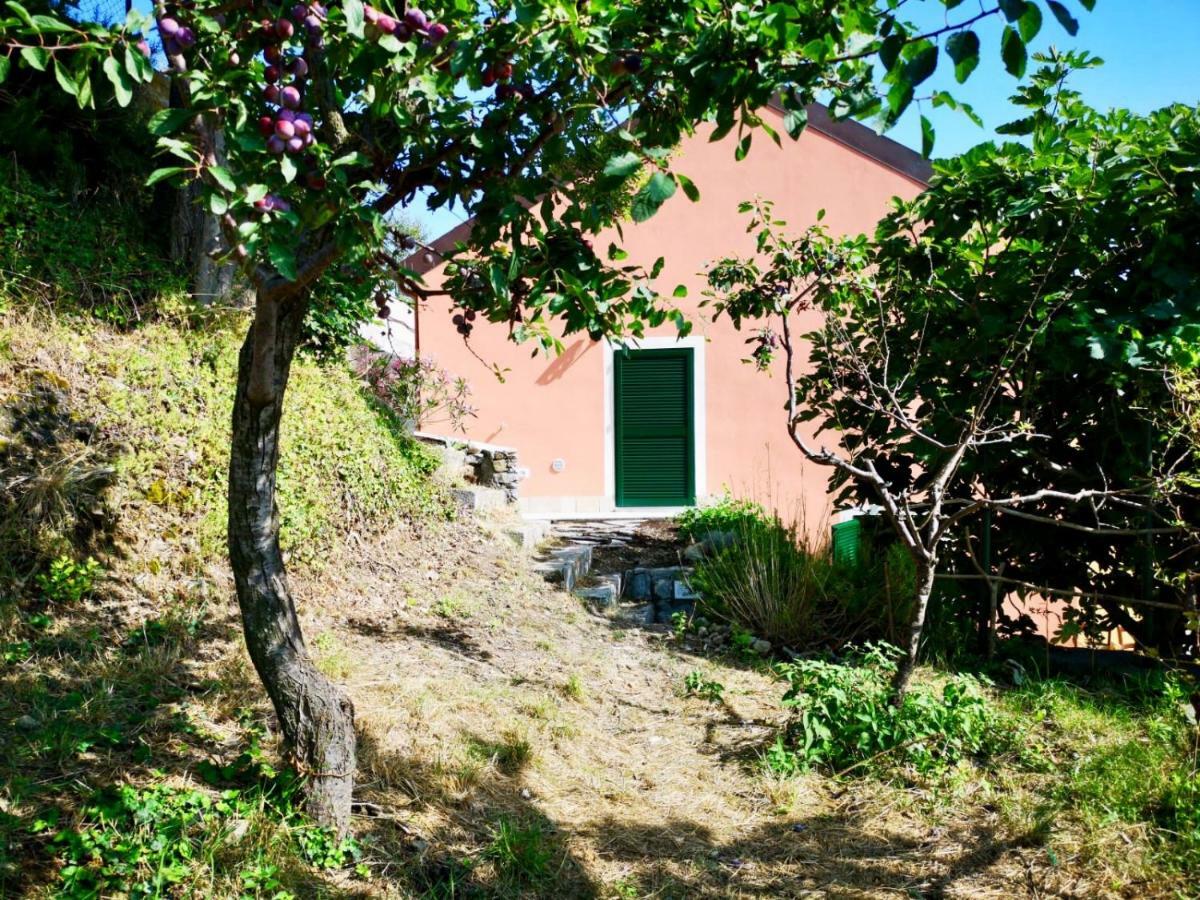 Agriturismo Lavalleggia Tovo San Giacomo Buitenkant foto