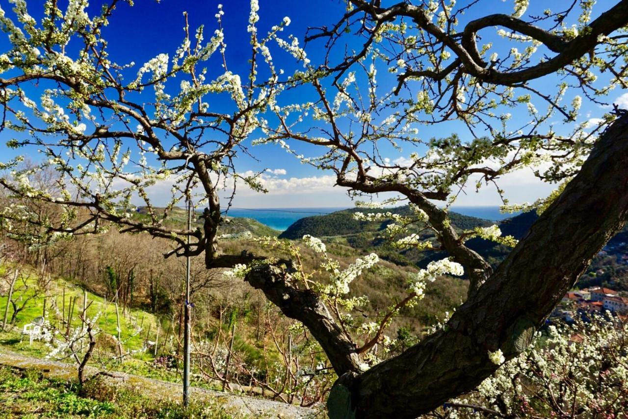 Agriturismo Lavalleggia Tovo San Giacomo Buitenkant foto